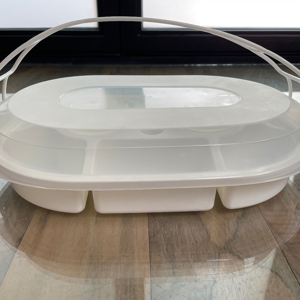 Excellent Condition Vegetable/Crudite Transport Platter